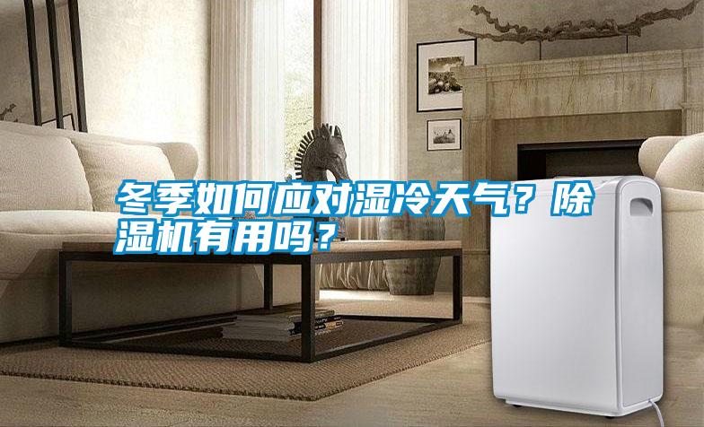 冬季如何應對濕冷天氣？除濕機有用嗎？