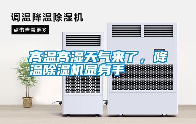 高溫高濕天氣來了，降溫除濕機顯身手