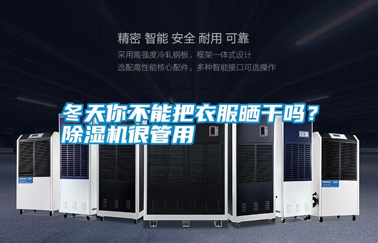 冬天你不能把衣服曬干嗎？除濕機很管用