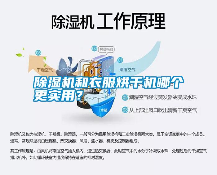 除濕機和衣服烘干機哪個更實用？