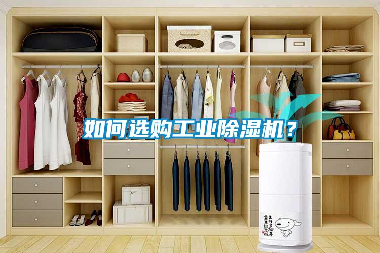 如何選購工業除濕機？