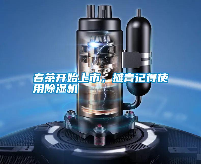春茶開始上市，攤青記得使用除濕機