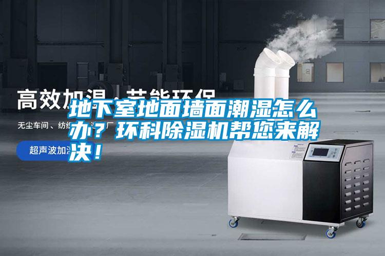 地下室地面墻面潮濕怎么辦？環科除濕機幫您來解決！