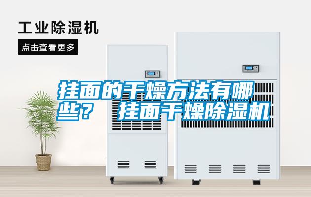 掛面的干燥方法有哪些？ 掛面干燥除濕機