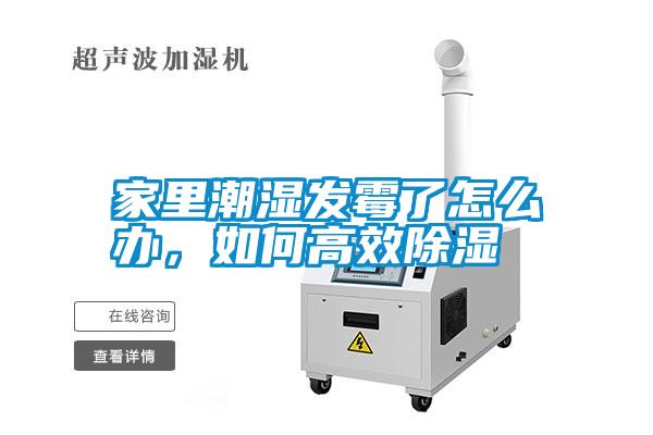 家里潮濕發霉了怎么辦，如何高效除濕