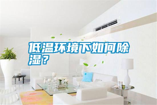 低溫環境下如何除濕？