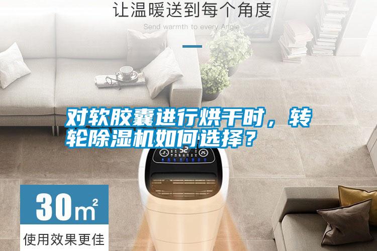 對軟膠囊進行烘干時，轉輪除濕機如何選擇？