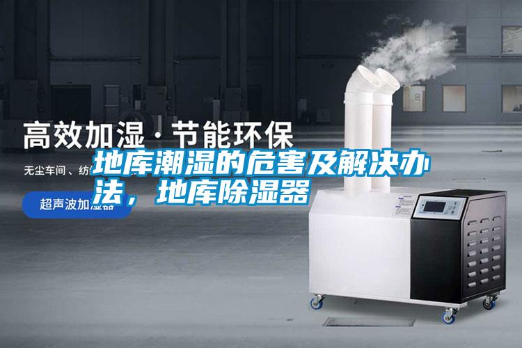地庫潮濕的危害及解決辦法，地庫除濕器