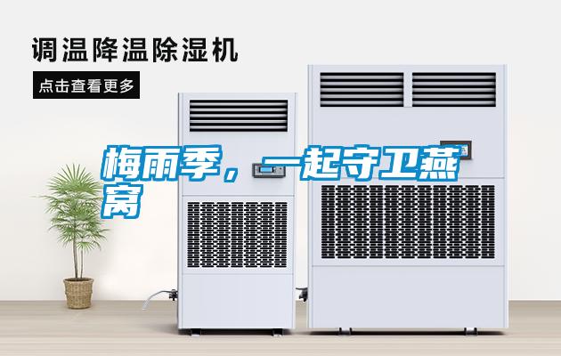 梅雨季，一起守衛燕窩
