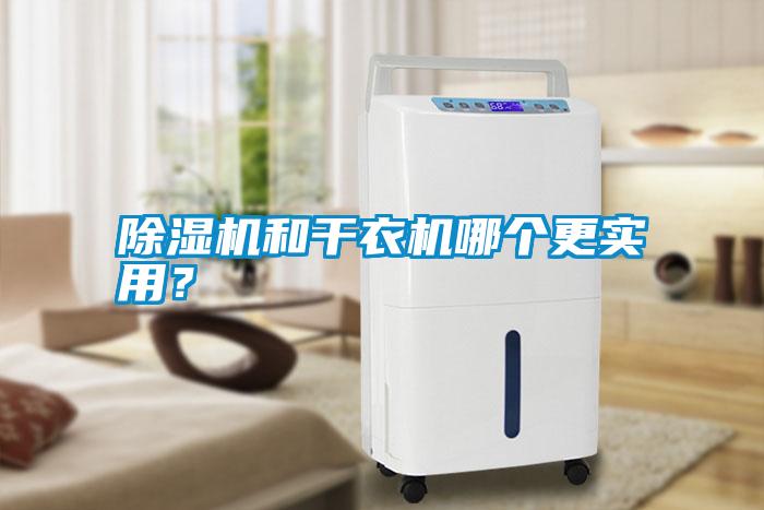 除濕機和干衣機哪個更實用？