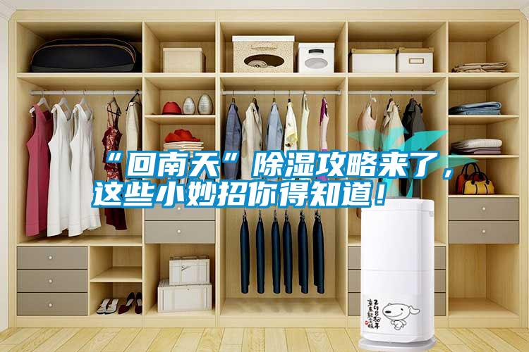 “回南天”除濕攻略來了，這些小妙招你得知道！