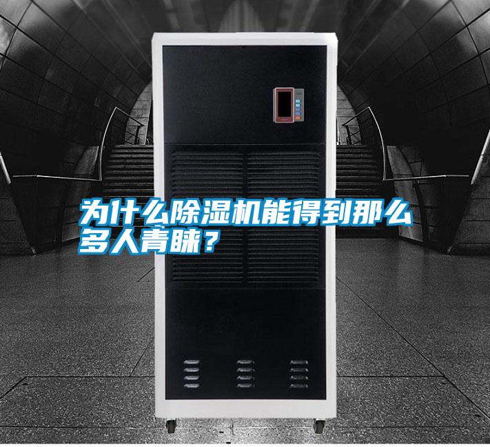 為什么除濕機能得到那么多人青睞？