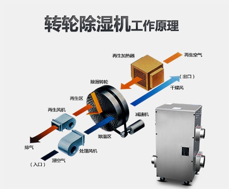 如何買到高性價比除濕機？看完這里你就懂了