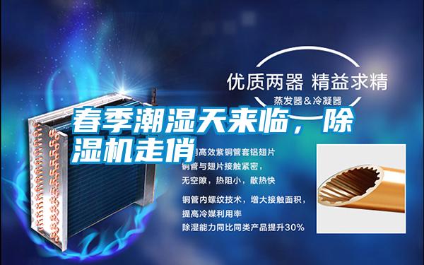 春季潮濕天來臨，除濕機走俏