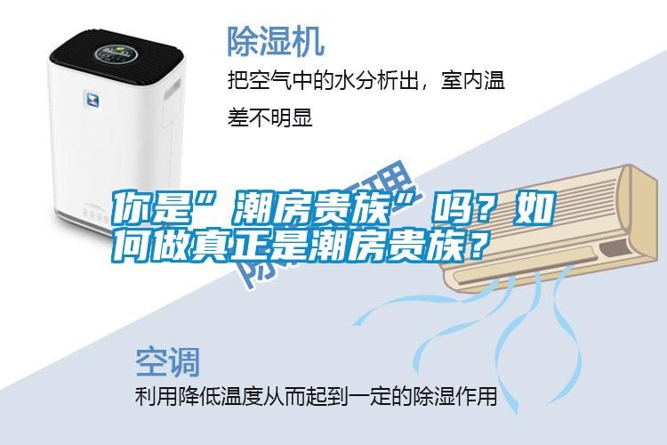 你是”潮房貴族”嗎？如何做真正是潮房貴族？