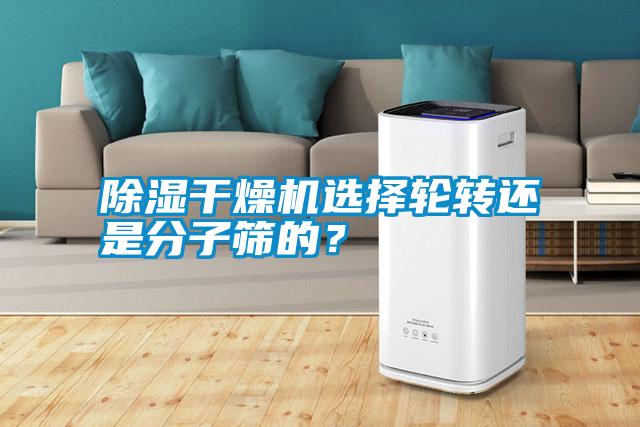 除濕干燥機選擇輪轉還是分子篩的？