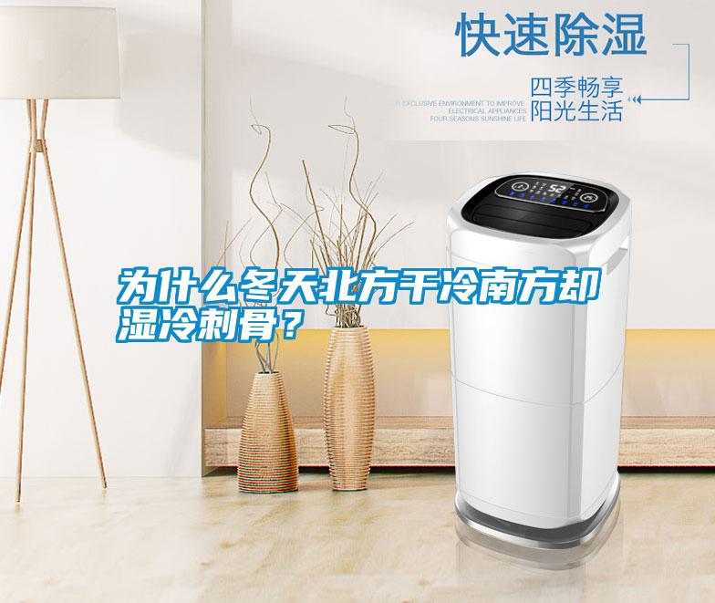 為什么冬天北方干冷南方卻濕冷刺骨？
