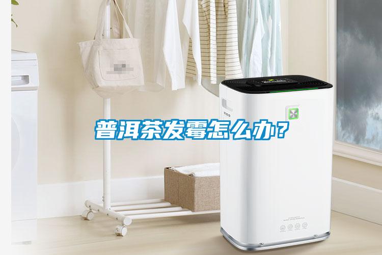 普洱茶發霉怎么辦？