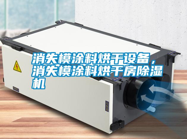 消失模涂料烘干設備，消失模涂料烘干房除濕機