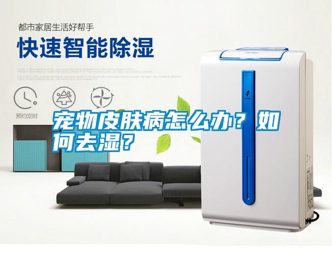 寵物皮膚病怎么辦？如何去濕？