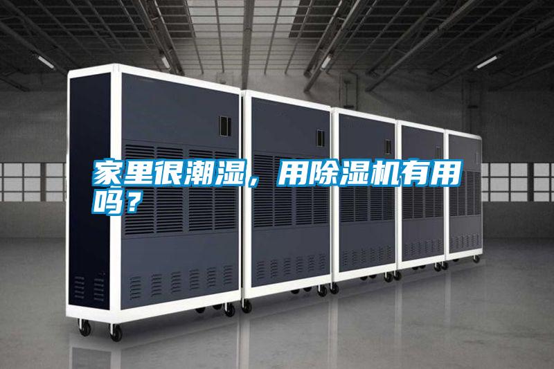 家里很潮濕，用除濕機有用嗎？