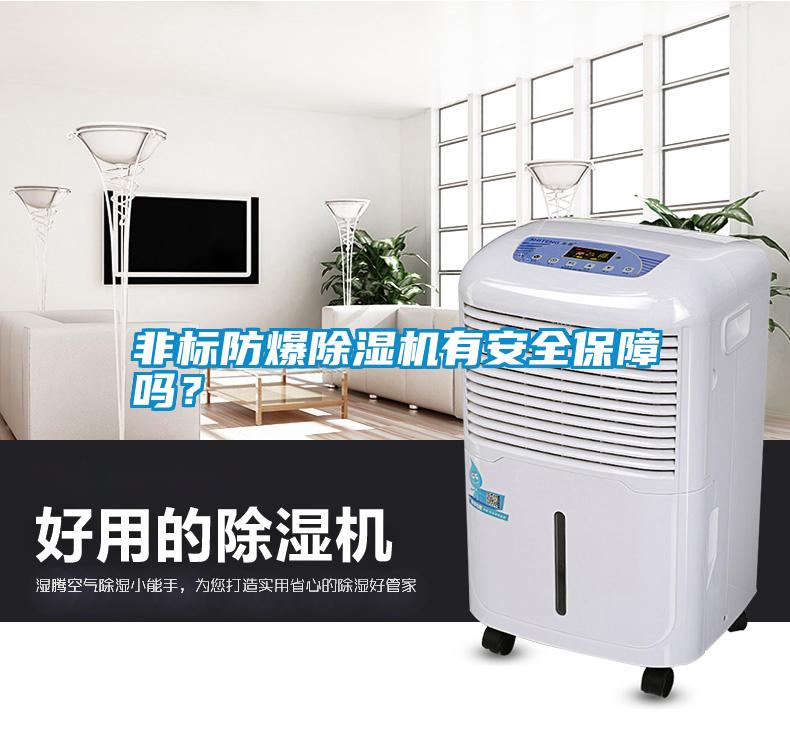 非標防爆除濕機有安全保障嗎？