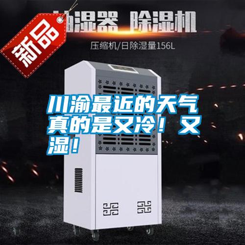 川渝最近的天氣真的是又冷！又濕！