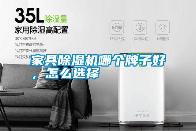 家具除濕機哪個牌子好，怎么選擇