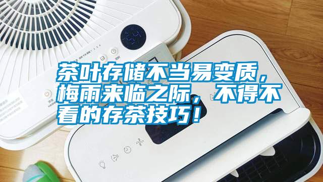 茶葉存儲不當易變質，梅雨來臨之際，不得不看的存茶技巧！