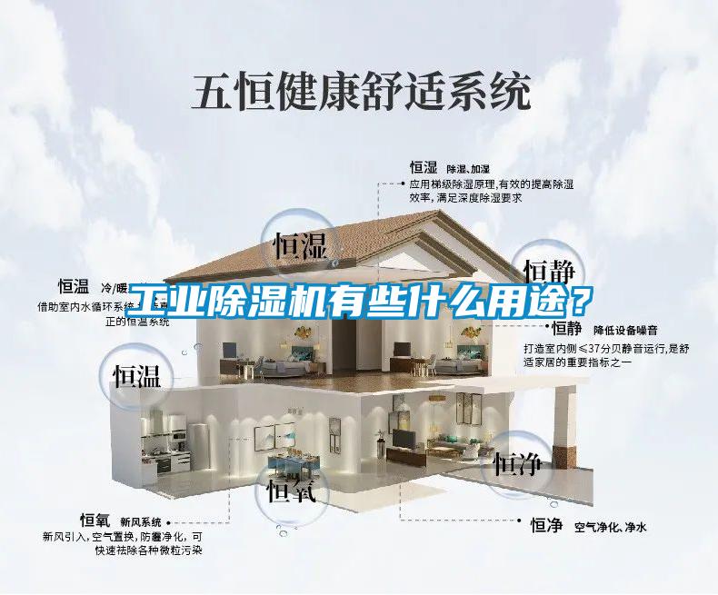 工業除濕機有些什么用途？