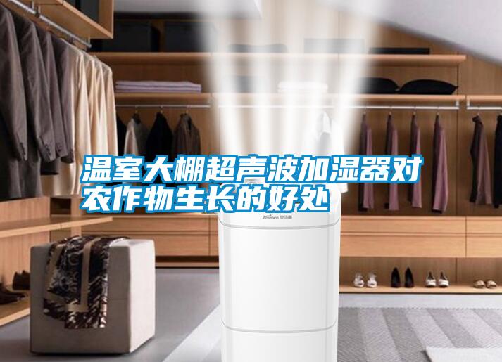 溫室大棚超聲波加濕器對農作物生長的好處