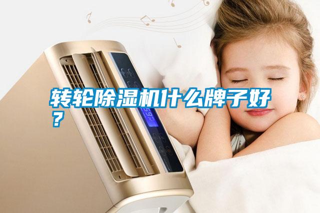轉輪除濕機什么牌子好？