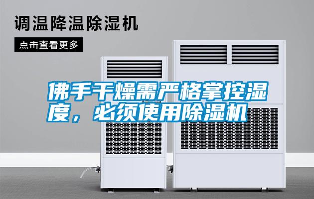 佛手干燥需嚴格掌控濕度，必須使用除濕機