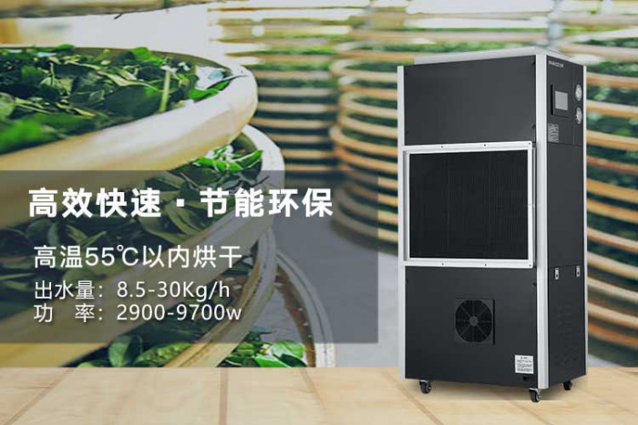 總是感覺很濕冷、冬季很怕冷？可能是這三種原因！