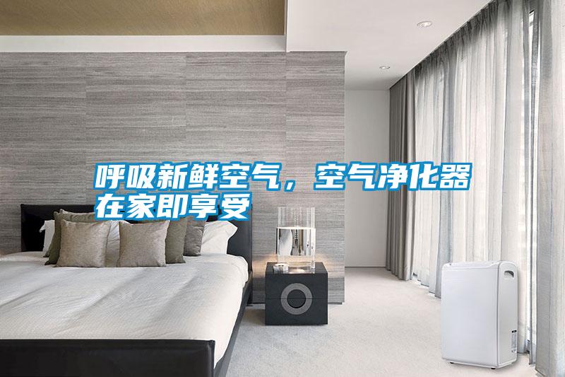 呼吸新鮮空氣，空氣凈化器在家即享受