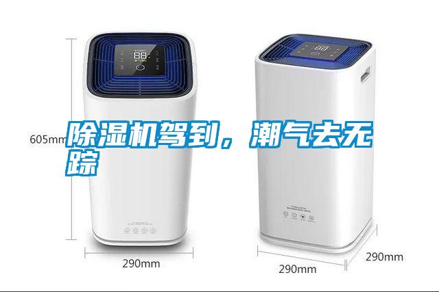 除濕機駕到，潮氣去無蹤