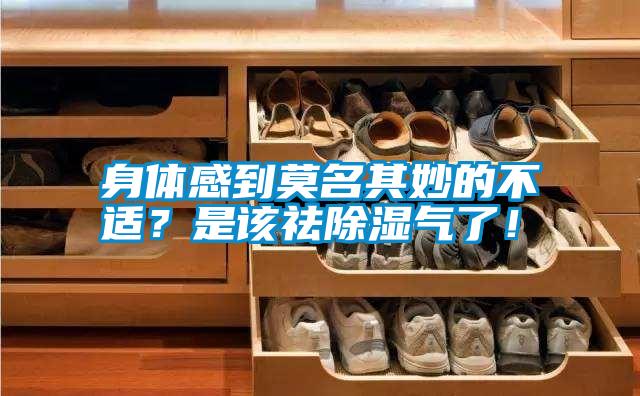 身體感到莫名其妙的不適？是該祛除濕氣了！
