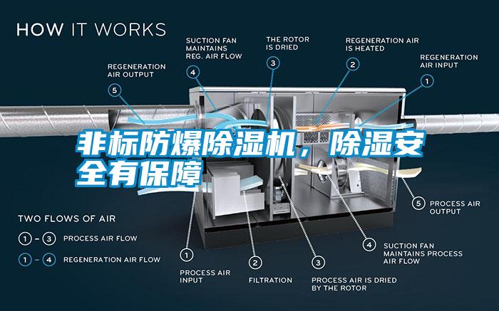 非標防爆除濕機，除濕安全有保障
