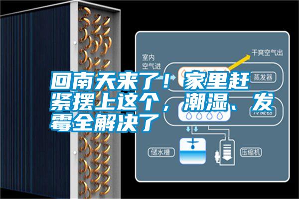 回南天來了！家里趕緊擺上這個，潮濕、發霉全解決了