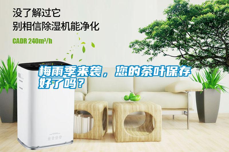 梅雨季來襲，您的茶葉保存好了嗎？
