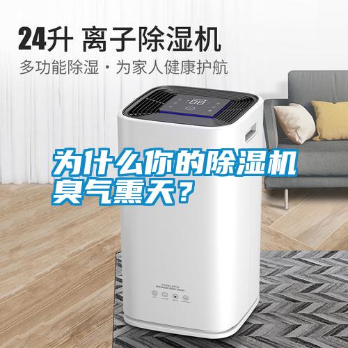 為什么你的除濕機臭氣熏天？