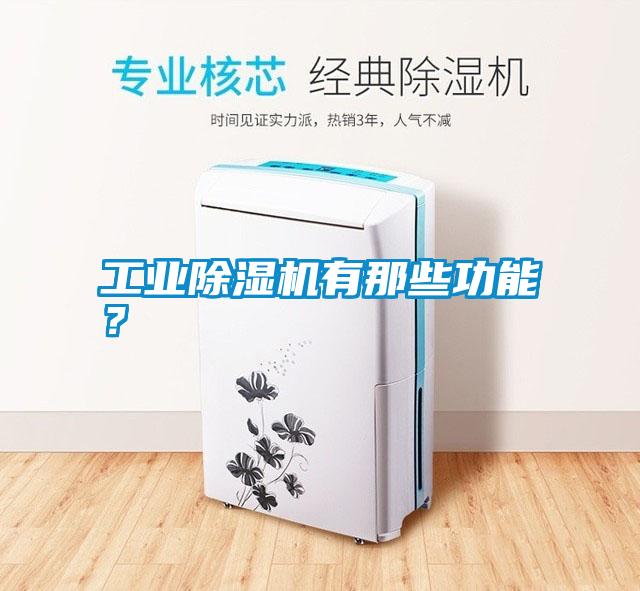工業除濕機有那些功能？