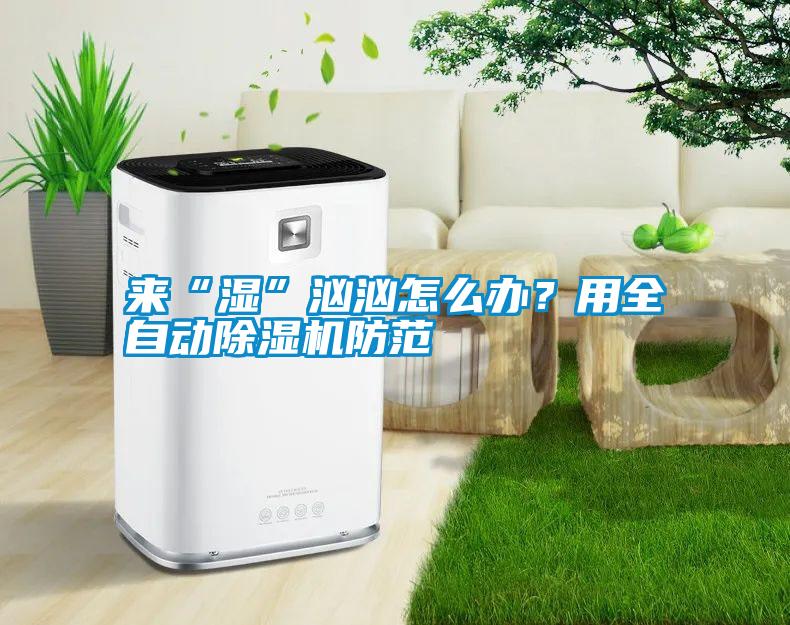 來“濕”洶洶怎么辦？用全自動除濕機防范