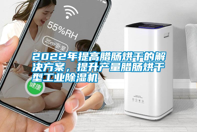 2022年提高臘腸烘干的解決方案，提升產量臘腸烘干型工業除濕機