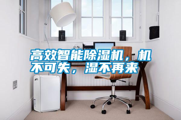 高效智能除濕機，機不可失，濕不再來