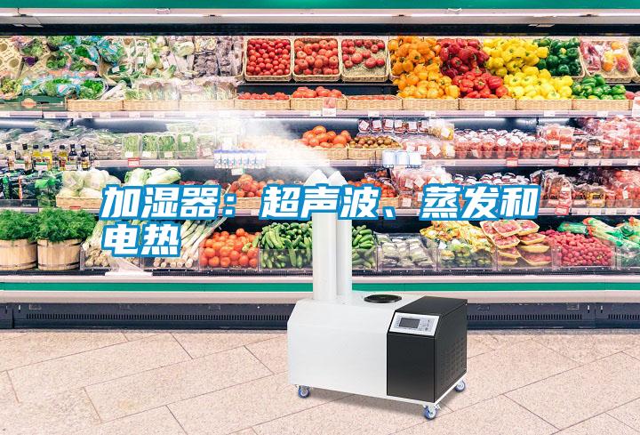 加濕器：超聲波、蒸發和電熱