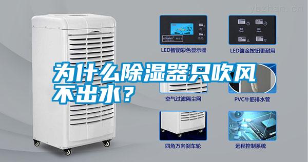 為什么除濕器只吹風不出水？