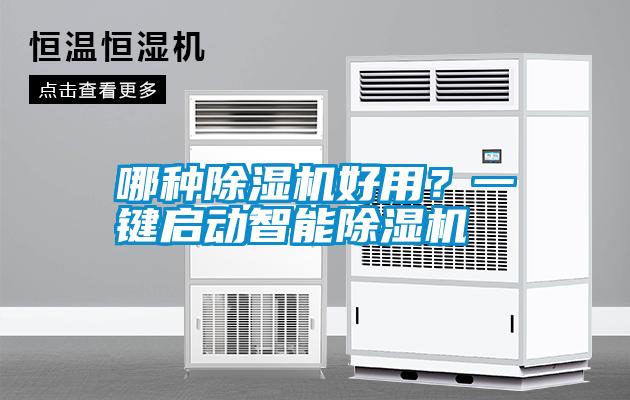 哪種除濕機好用？一鍵啟動智能除濕機