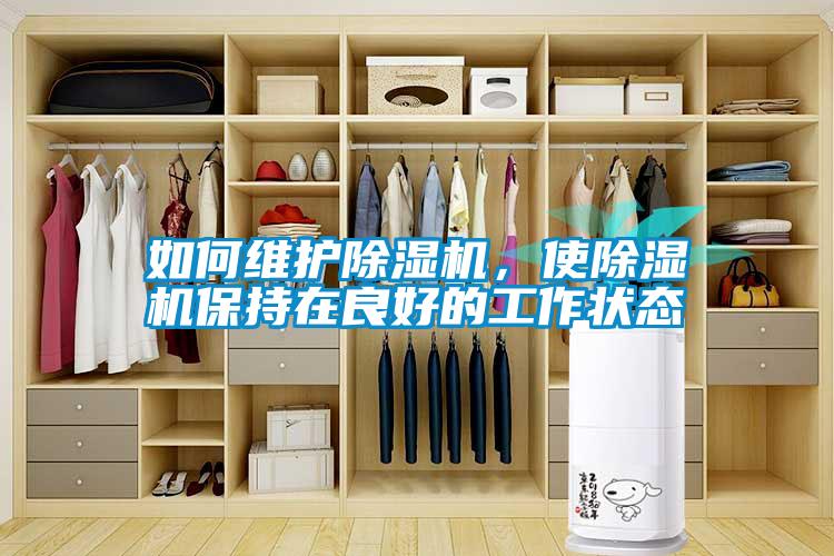 如何維護除濕機，使除濕機保持在良好的工作狀態