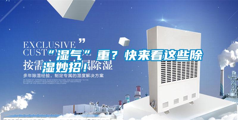 “濕氣”重？快來看這些除濕妙招！